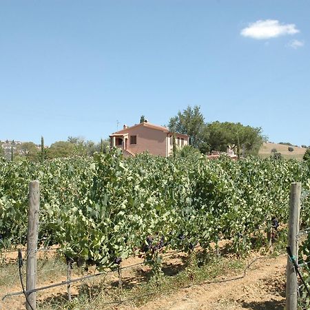 Agriturismo Pian Dei Pini Montiano  Εξωτερικό φωτογραφία