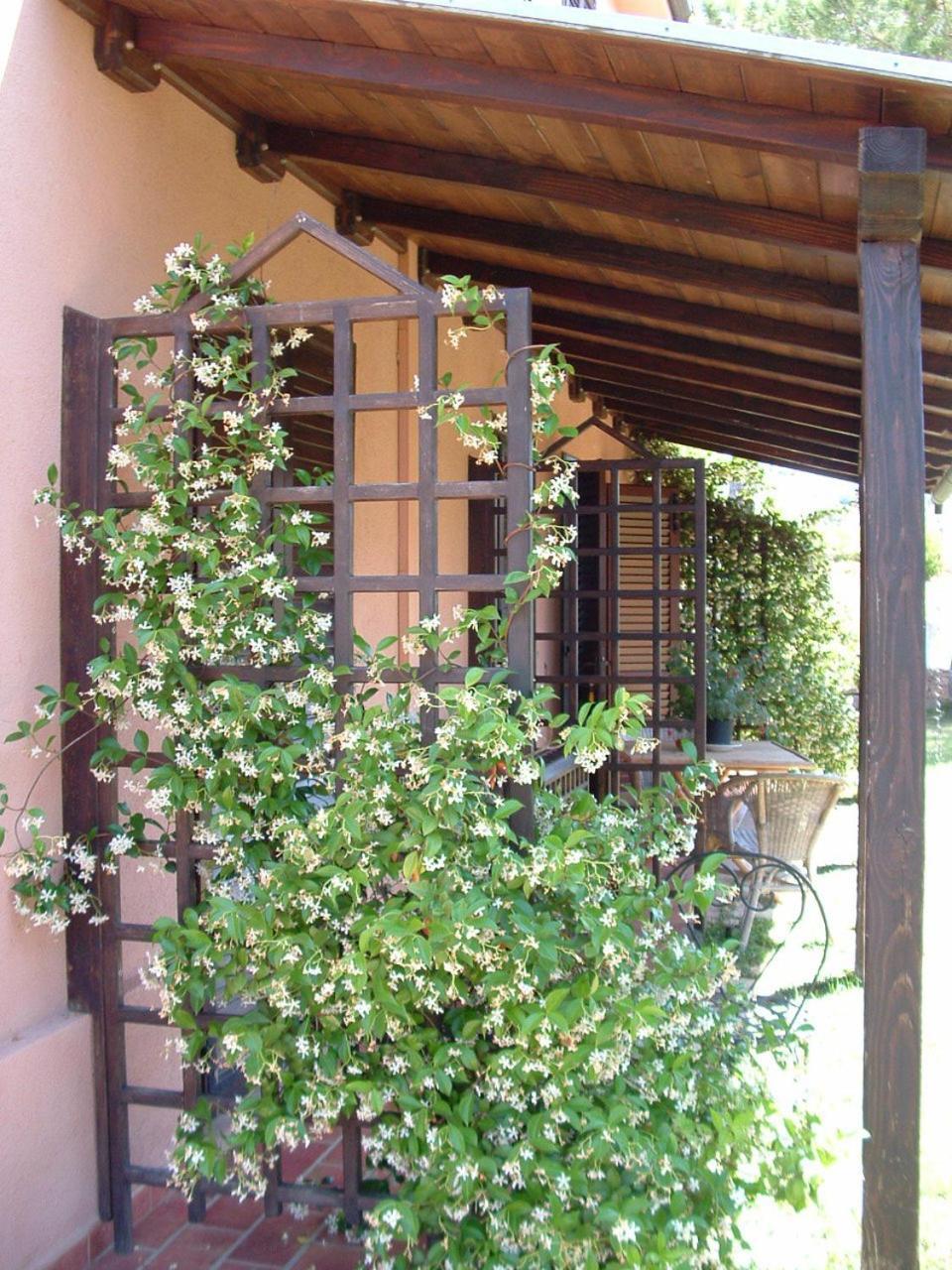 Agriturismo Pian Dei Pini Montiano  Εξωτερικό φωτογραφία