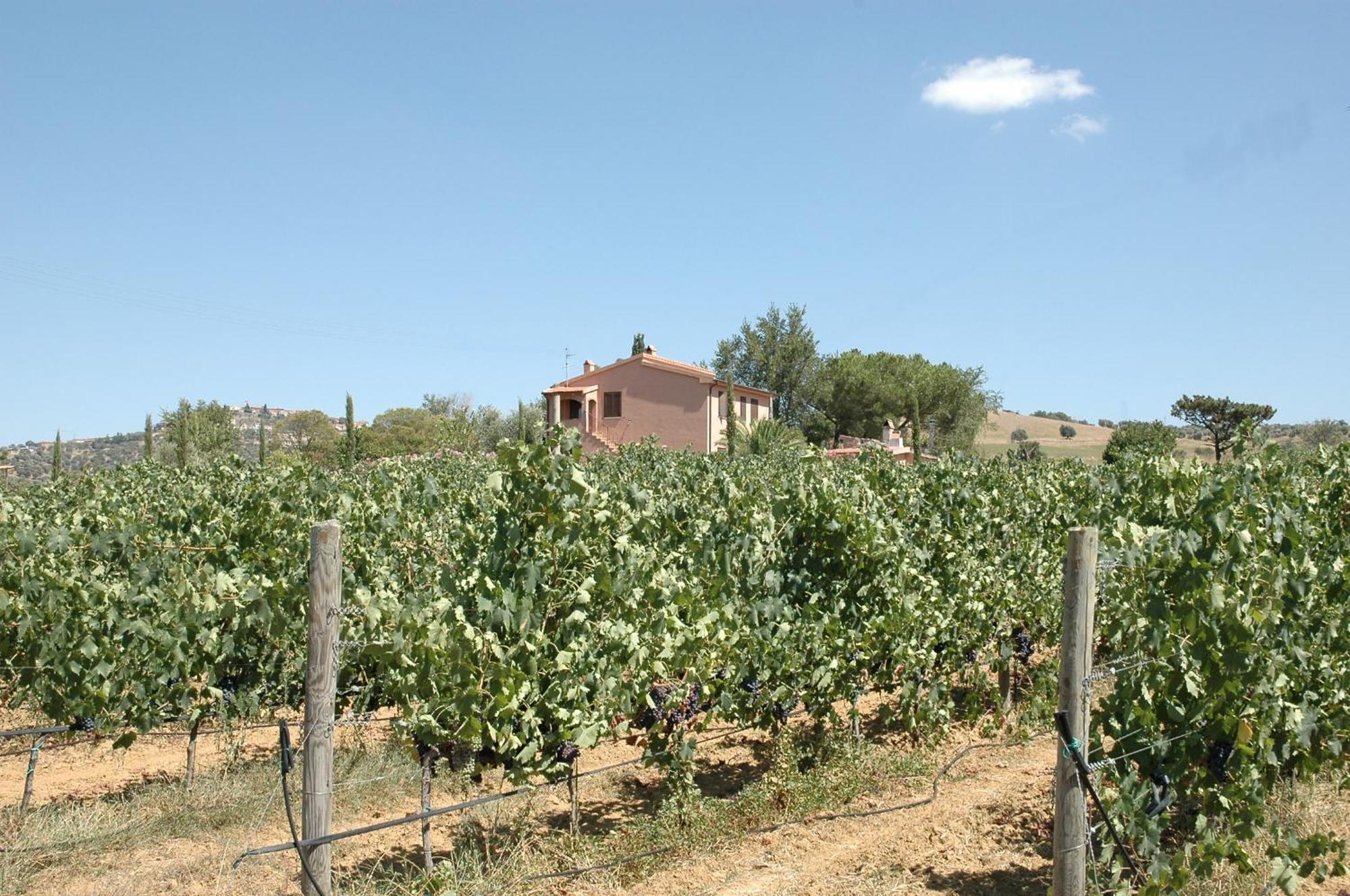 Agriturismo Pian Dei Pini Montiano  Εξωτερικό φωτογραφία