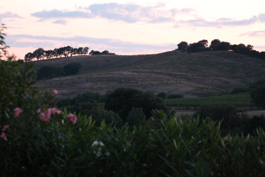 Agriturismo Pian Dei Pini Montiano  Εξωτερικό φωτογραφία