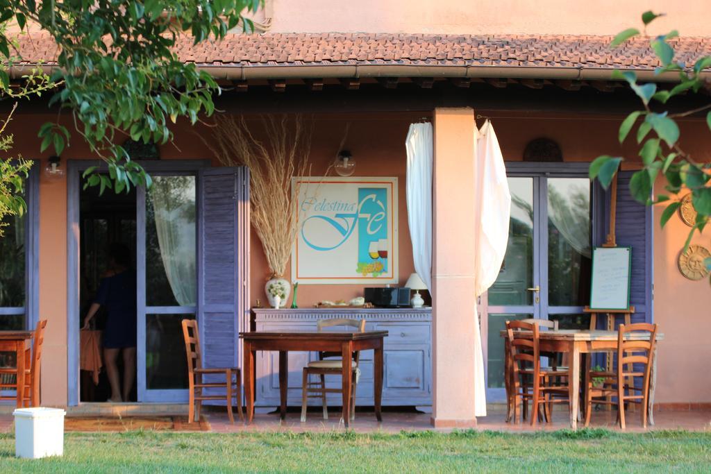 Agriturismo Pian Dei Pini Montiano  Εξωτερικό φωτογραφία